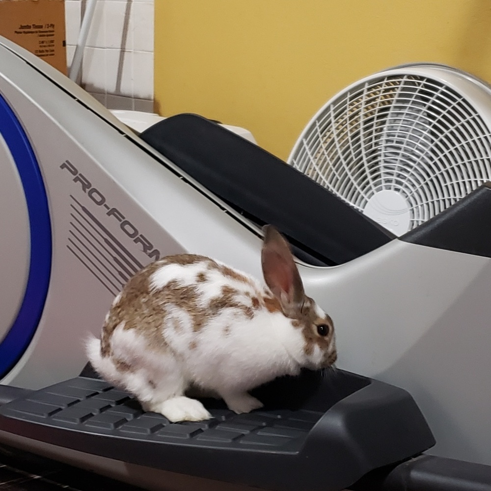 Meet your Posher, Jennifer